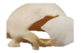 Prototipo Plástico 3D